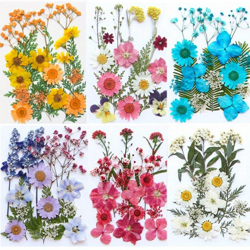 bouquet fleurs séchées multicolore anniversaire décoration maison naturelle variées feuilles vertes
