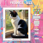 Toile peinte chat fenêtre diy adulte relaxation mur moderne noire blanche crochets pinceaux peintures