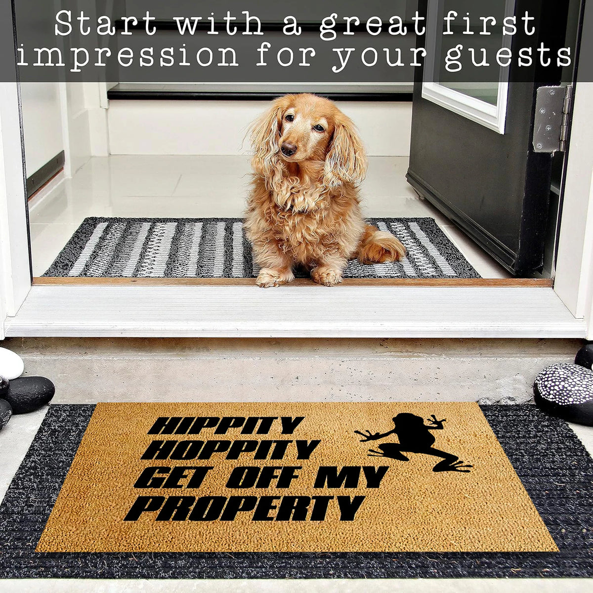 tapis d'entrée marron clair antidérapant résistant bactéries silhouette grenouille texte amusant porte solextérieur