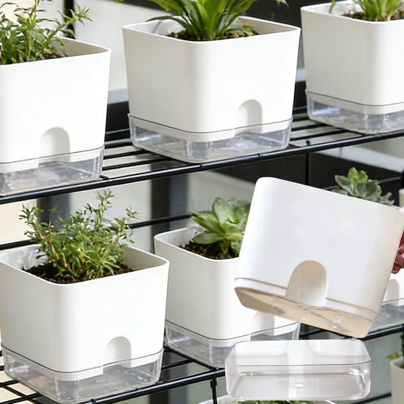 pots fleurs auto arrosants blanc transparent moderne plante geranium daisy pothos chambre jardin suspension