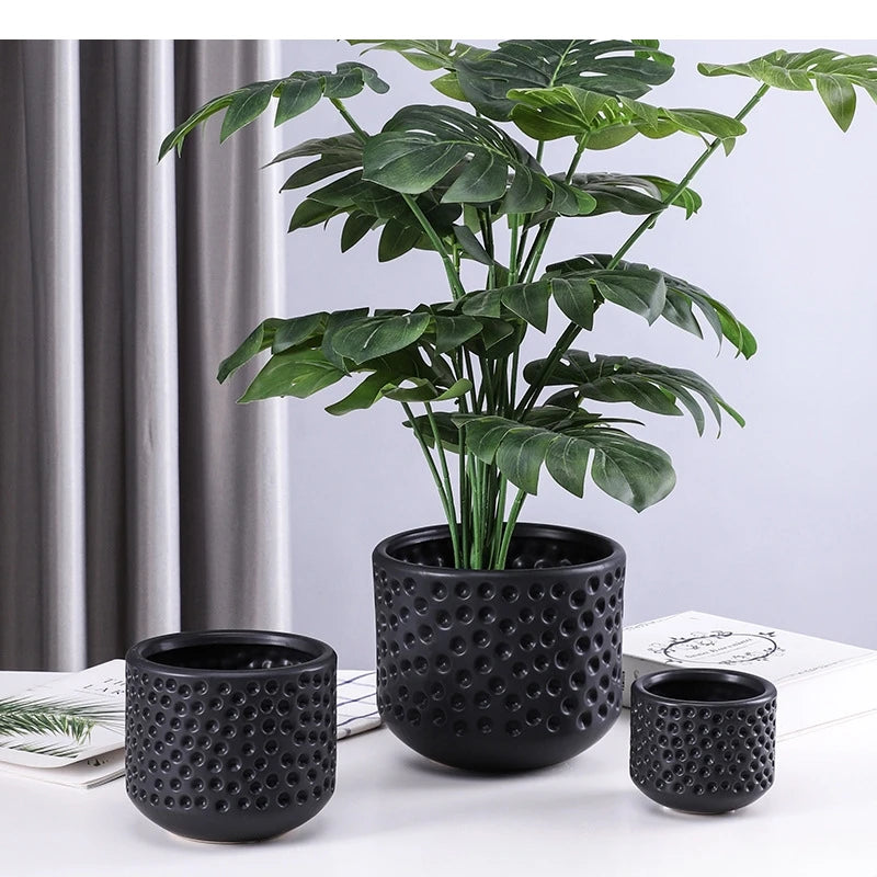 Vue de dessus du cache-pot doré avec plante