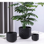 Vue de dessus du cache-pot doré avec plante