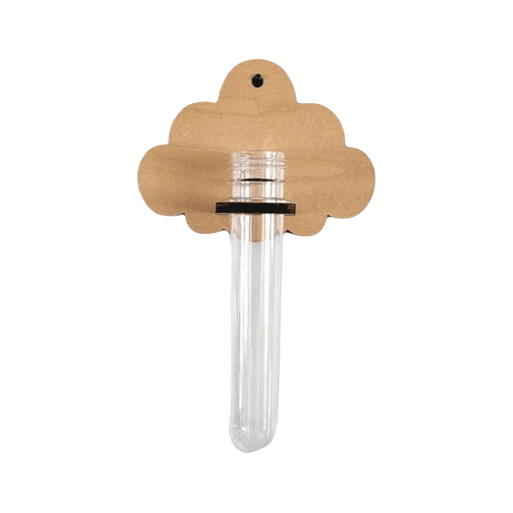 vase mural transparent feuille monstera nuage bois moderne minimaliste