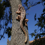 Lézard en résine gris foncé décorant un mur extérieur