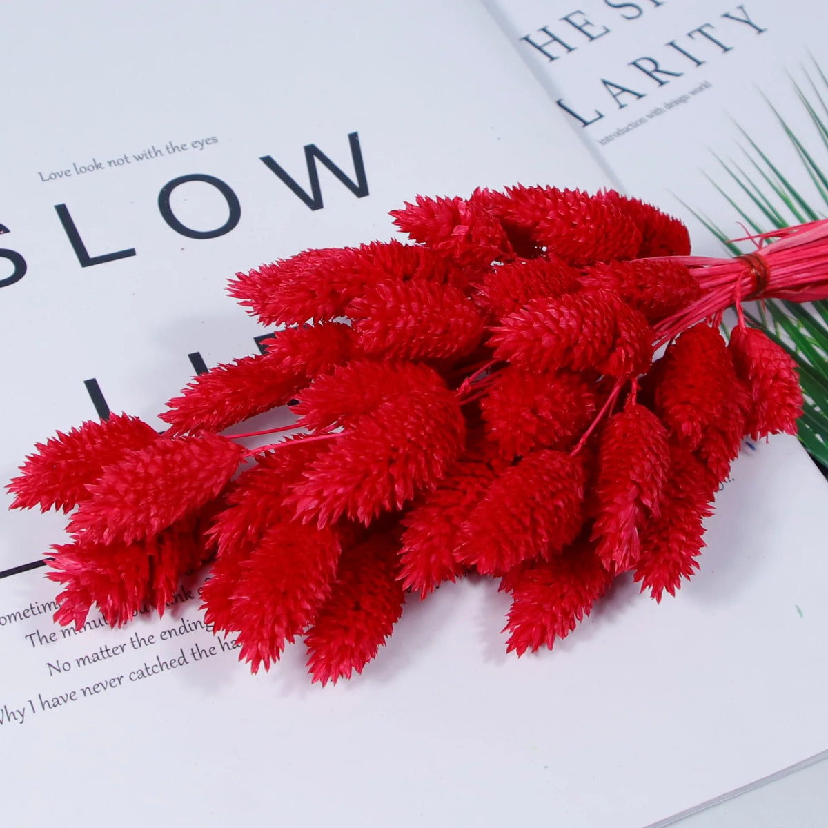 plumes artificielles pelucheuses couleurs vives décoration maison anniversaire baby shower festive table arrangementintérieur