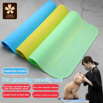 tapis antidérapant toilettage animaux couleur bleue verte jaune strié givré professionnel utilitaire