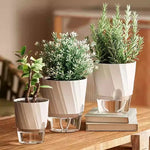 pots plantes artificielles blanc rose moderne transparent minimaliste facettes adhésif auto arrosant