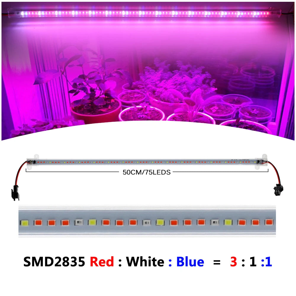 barre led croissance végétale blanc rouge bleu clips moderne connecteur câble