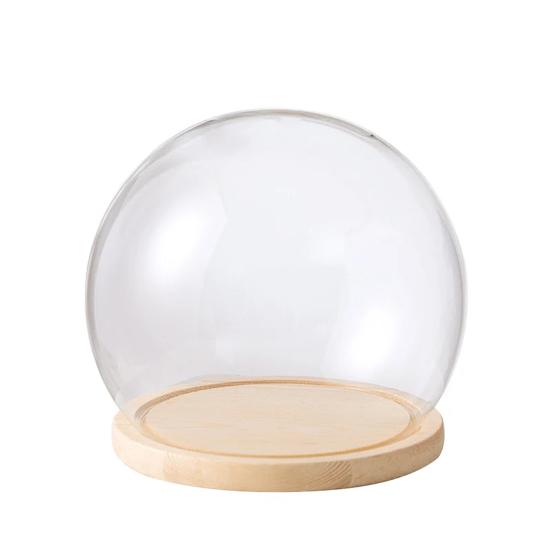 boule verre transparent socle bois décoration d'intérieur moderne objet d'exposition moderne
