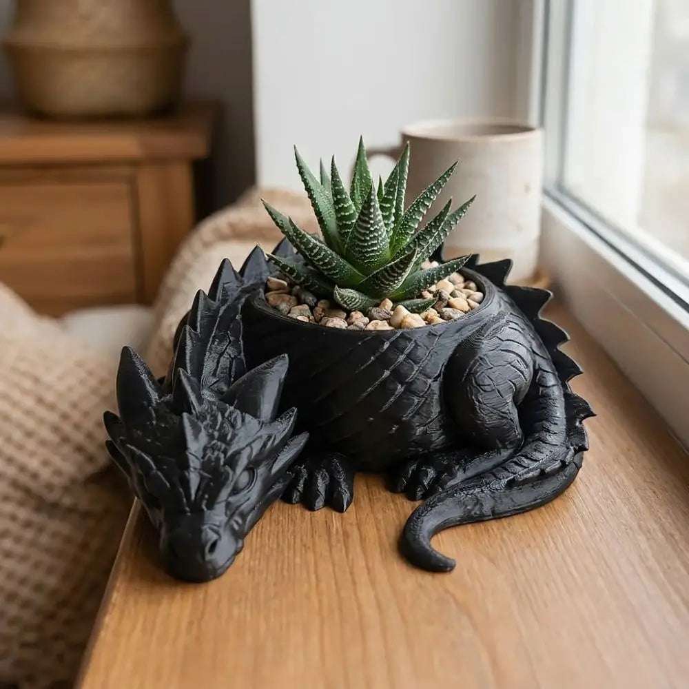 cache plantes dragon écaille opacité fantastique succulentes décoration noir blanc