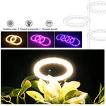 anneaux lumineux led croissance plantes intérieures blanc rose bleu rouge moderne minuterie usb rechargeable