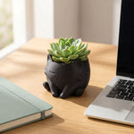 pot fleurs forme chat noir blanc pot succulentes plantes vertes décoration intérieure moderne mignonne