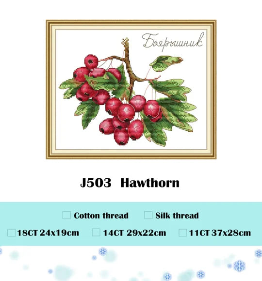 Kit broderie animaux hiver fruits instructions toile fil coton soie