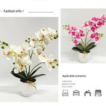 décoration murale orchidées artificielles fleurs douces moderne pot blancintérieur