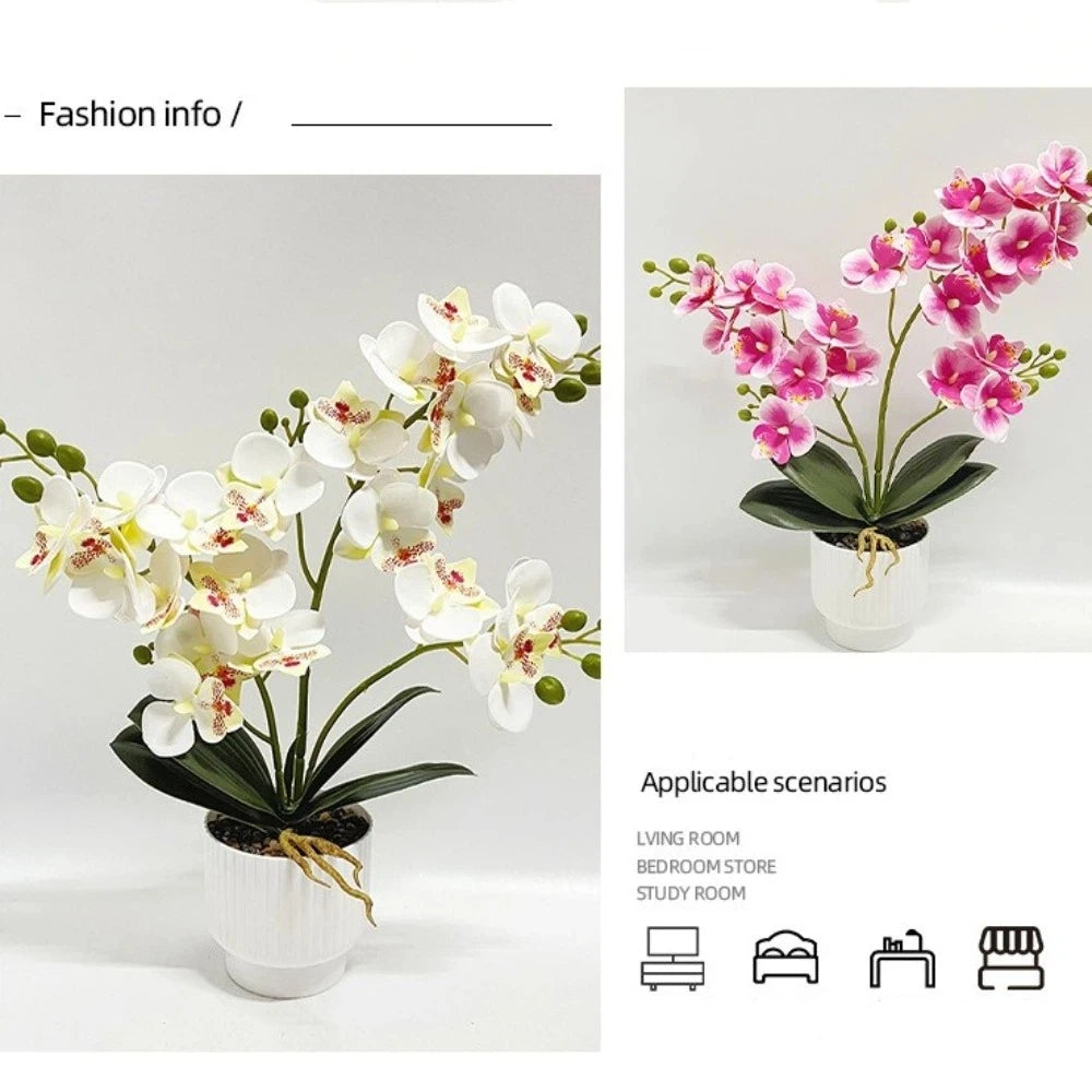 décoration murale orchidées artificielles fleurs douces moderne pot blancintérieur