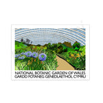 Le jardin botanique national du Pays de Galles présente un paysage verdoyant avec des fleurs violettes et oranges, entouré d'arbres et d'une structure de verre en arc couvrant l'ensemble.