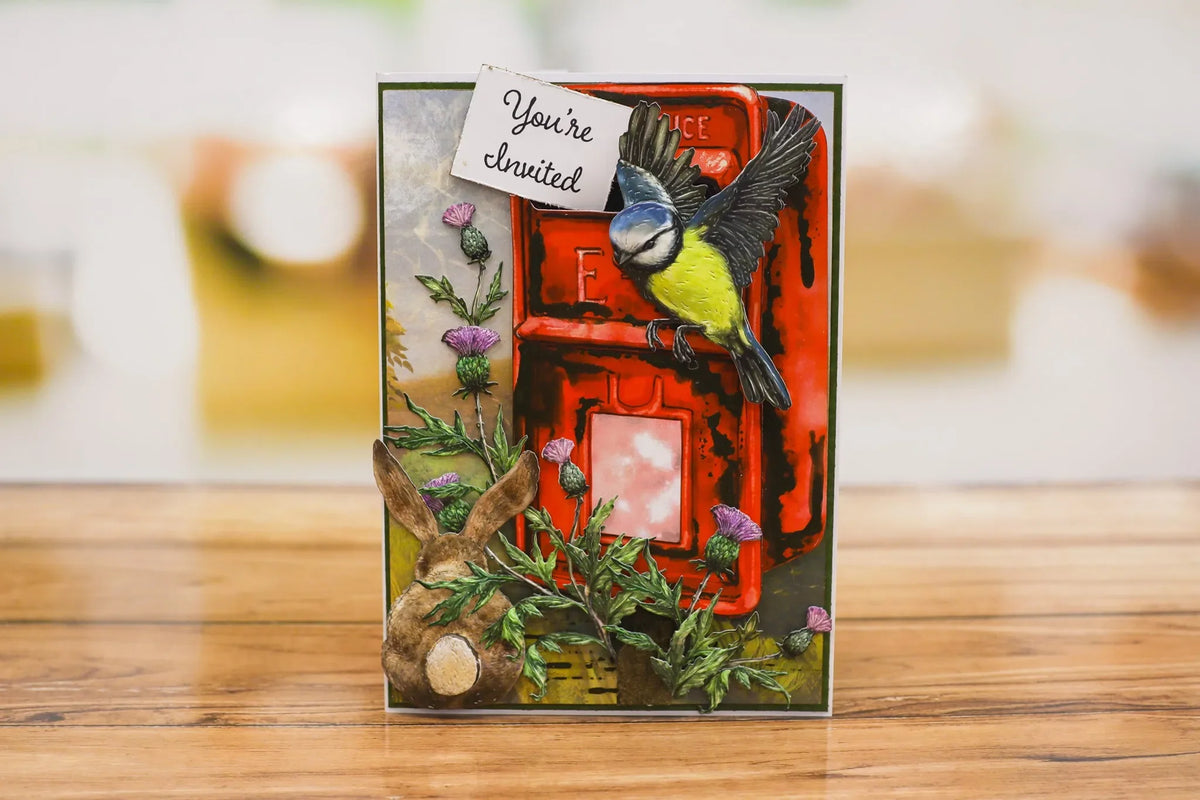 cartes postales 3d illustratives animaux fleurs oiseaux barbelés boîte lettres bouteilles herbe rouge vert