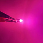 ampoules led blanc bleu rouge vert jaune transparentes modernes 12v 24v 50pcs