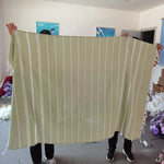 serviette plage coton rayée bleu clair rose vert moderne rapide absorption machine
