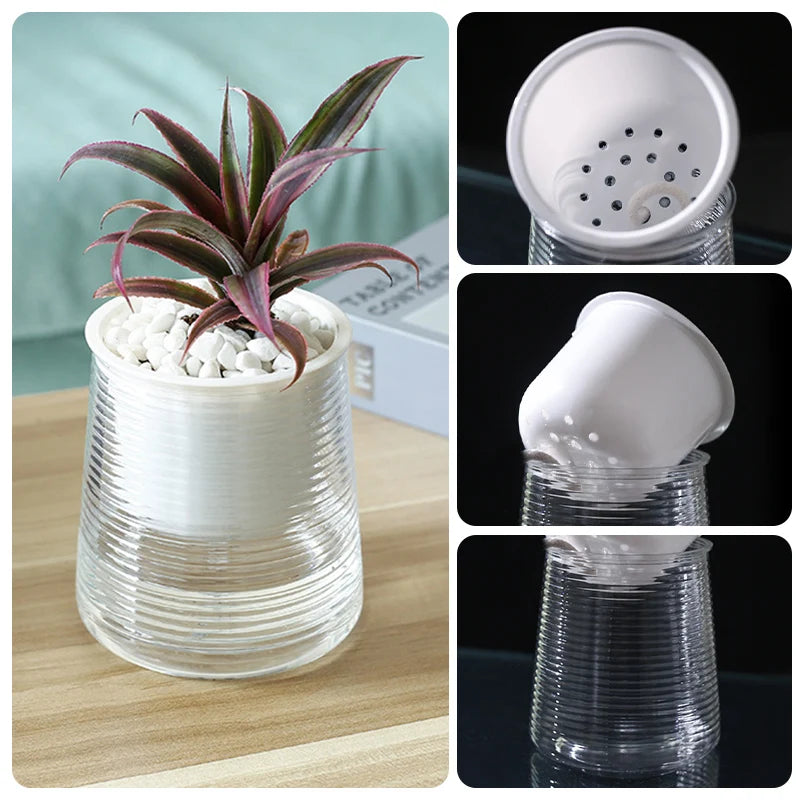 pots plantes transparents rayures horizontales modernes intérieurs auto arrosage succulentes petits fleurs