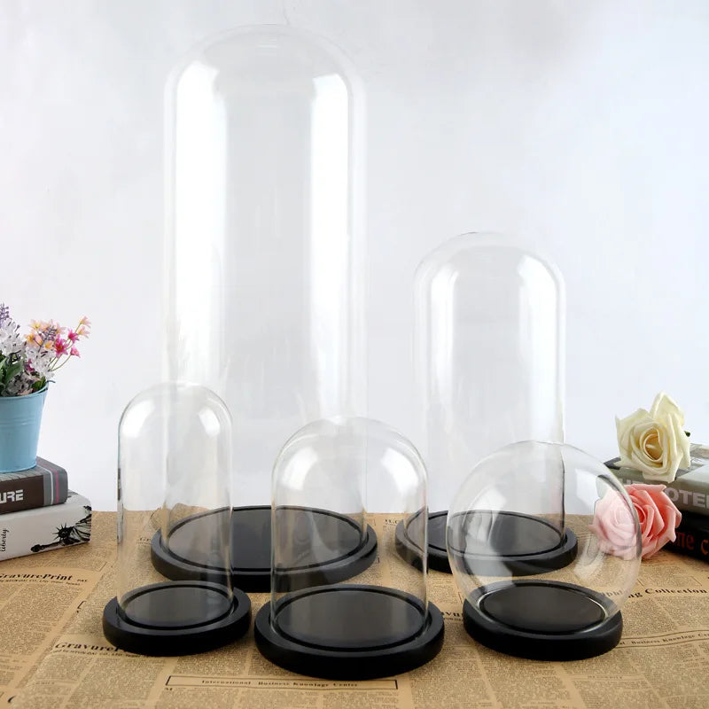 cloche verre transparente moderne 20cm diamètre base bois noire