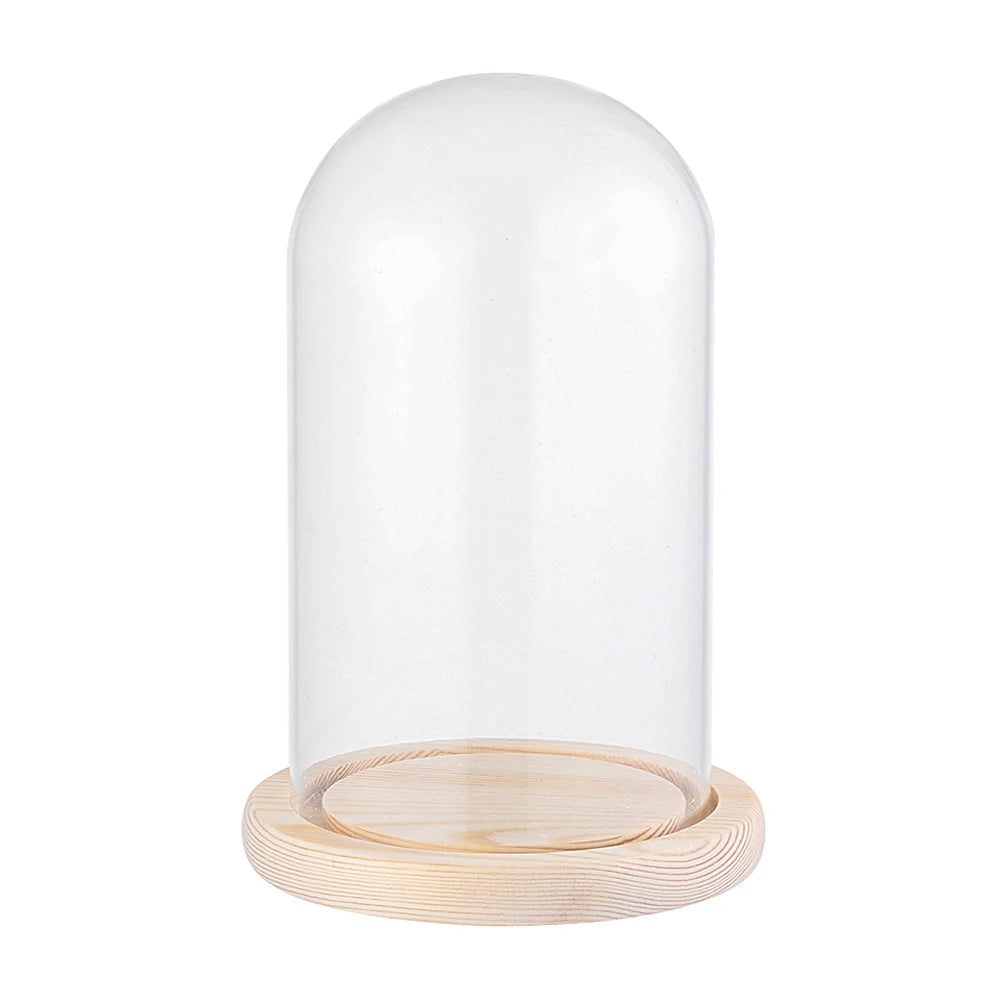 cloche verre transparent moderne base bois naturel boîte rangement fleurs minimalistes différentes tailles
