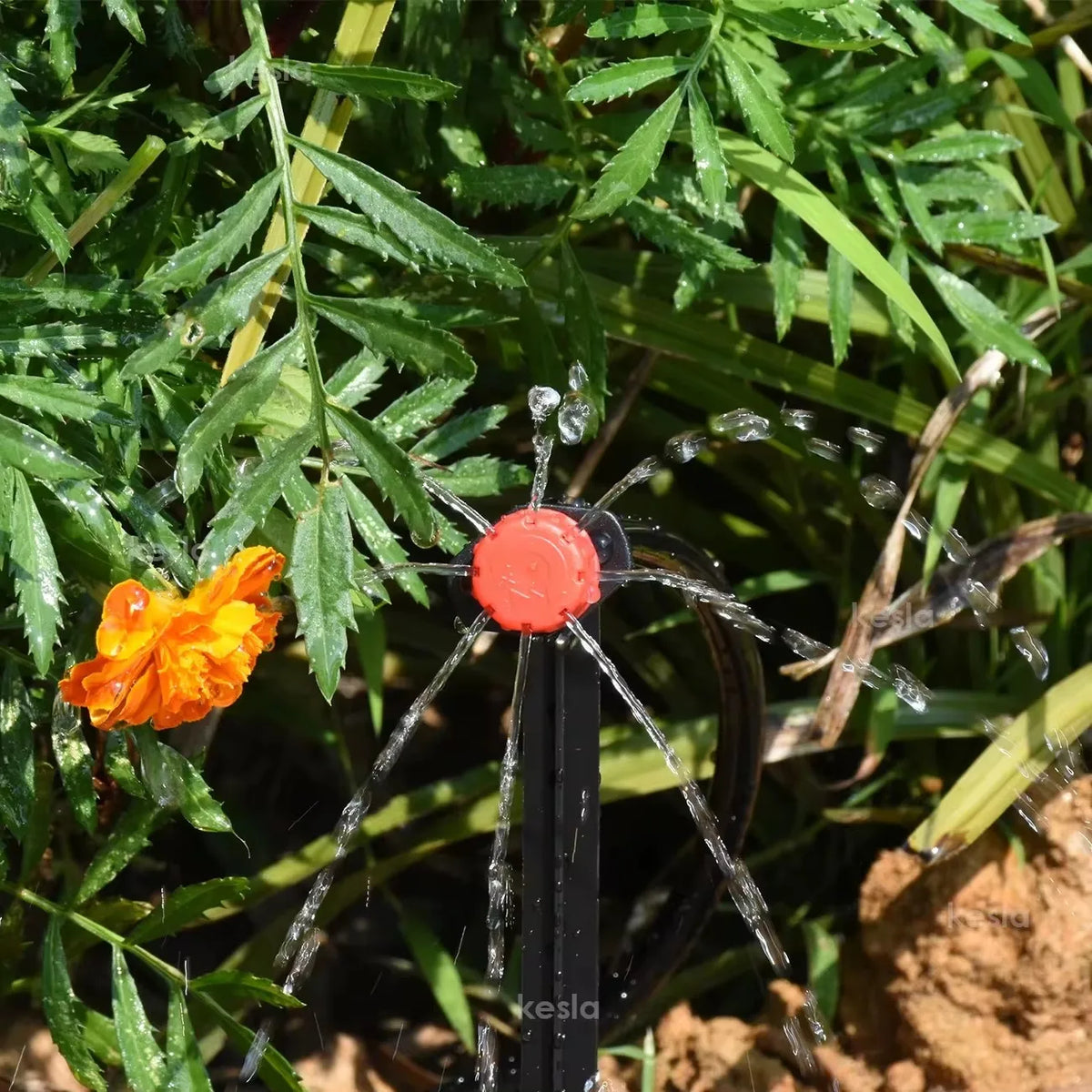 connecteurs irrigation tuyaux 4mm 6.2mm noir rondelles rouges pratique robuste jardinerie fleur