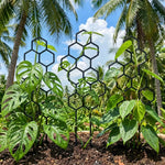 treillis plante noir hexagonal moderne pot fleur support jardin opaque