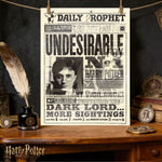 affiche imprimée noir blanc pages journal clips ancien cosplay harry potter