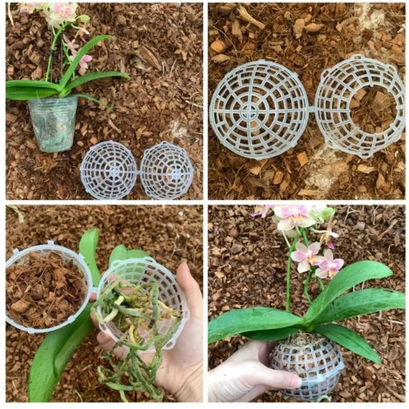 boule culture plante plastique blanc grille circulaire moderne suspendue jardin drainage transparent opacité