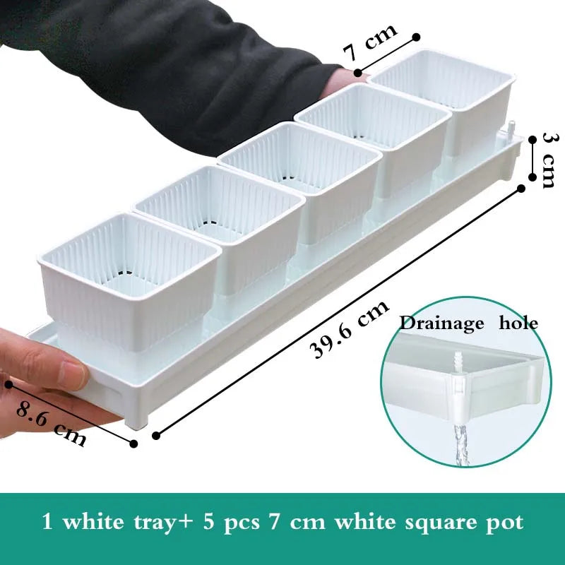 lot pot succulentes plastique blanc moderne trous drainage aération plantes maison