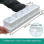lot pot succulentes plastique blanc moderne trous drainage aération plantes maison