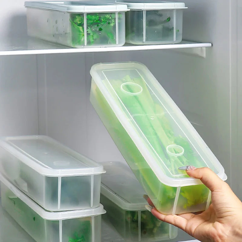 boîtes conservation alimentaire transparentes clips poignées fraîcheur respectueux environnement moderne pratique