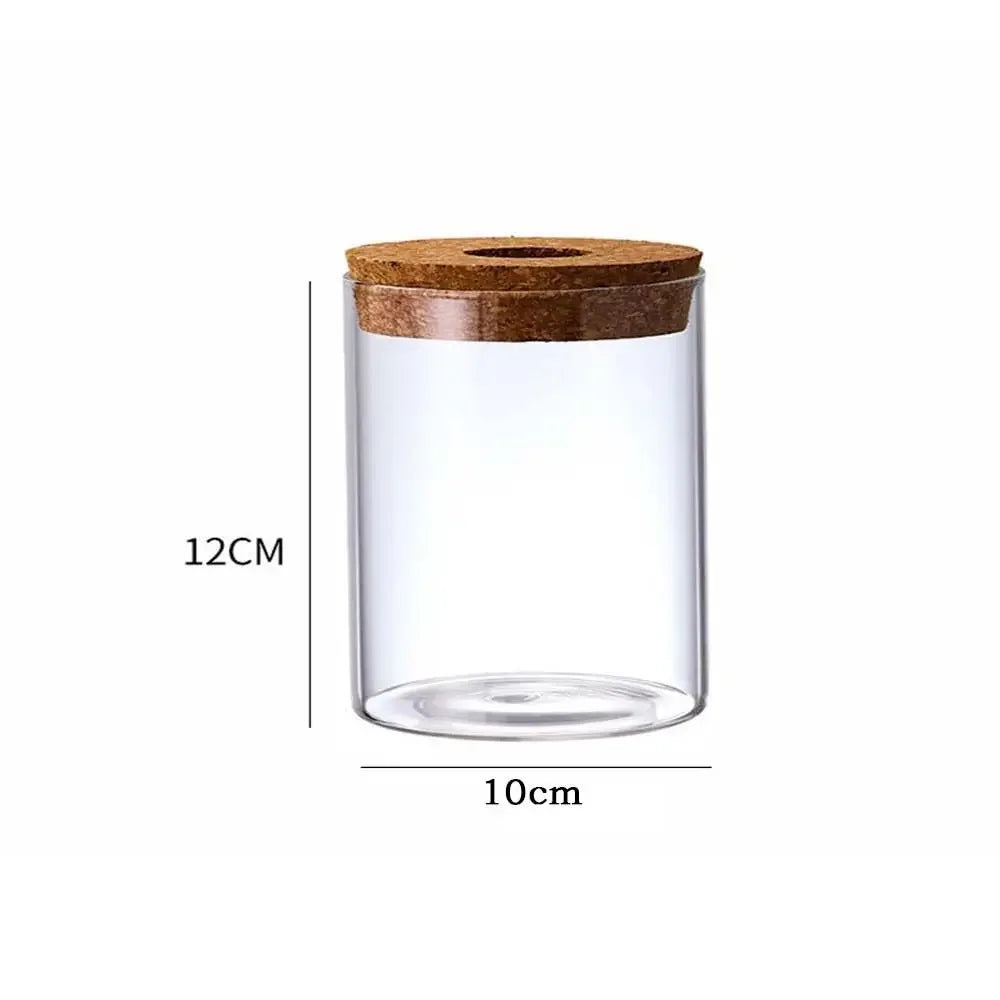 Pot plante hydroponique transparent moderne minimaliste 8cm 10cm 12cm 15cm 20cm