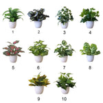 plantes artificielles vertes bonsaï ornement accessoires photo scindapsus pot rotin extérieur moderne