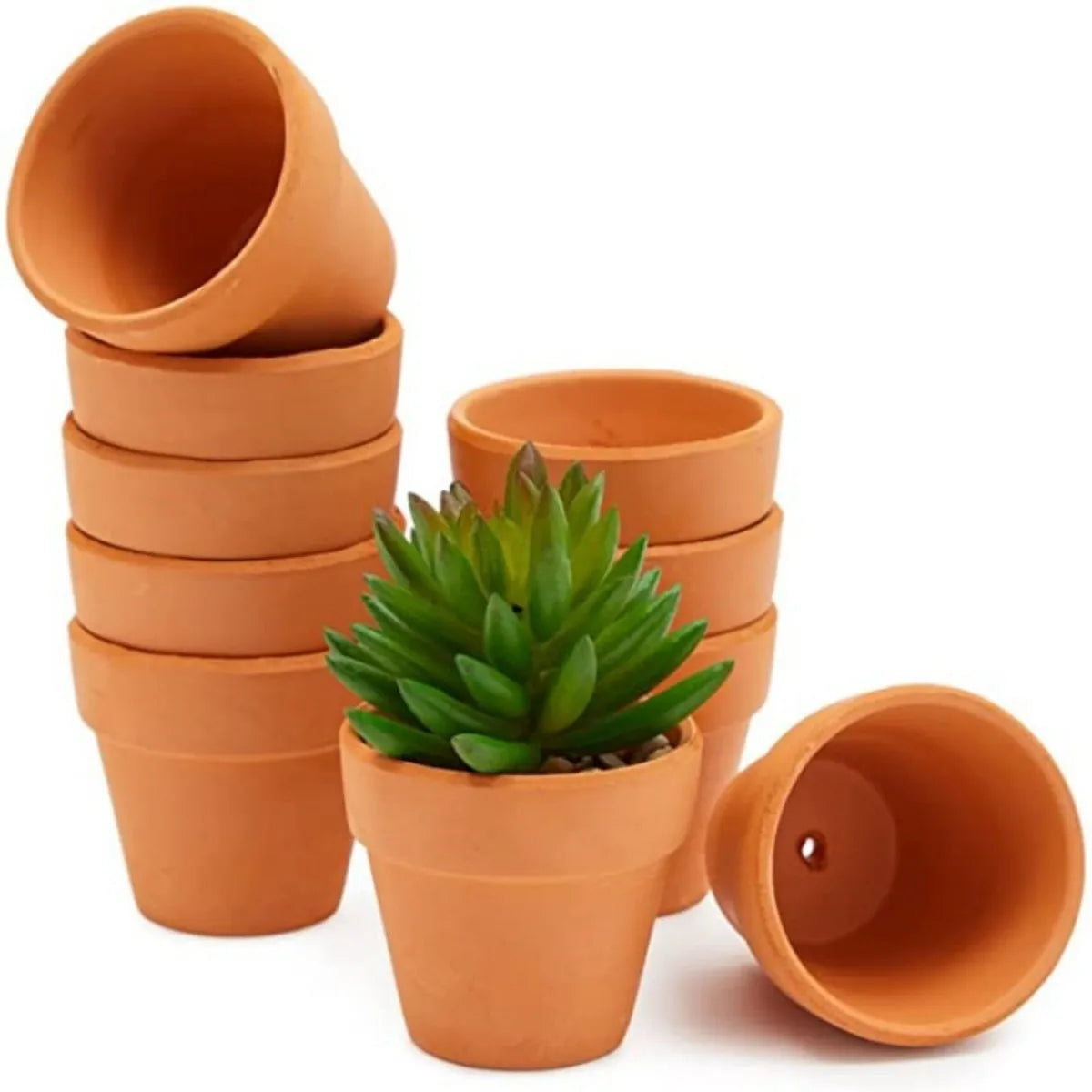 pots terre cuite succulentes plantes cactus drainage artisanal motifs peints