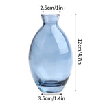 vase verre transparent moderne rose décoration intérieur hydroponique fleuri table studio