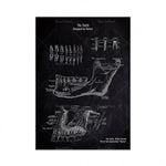 L'image montre des illustrations détaillées des dents, avec des étiquettes décrivant leur structure et leur fonction. Il s'agit d'une représentation anatomique de la dentition humaine, conçue par la nature.