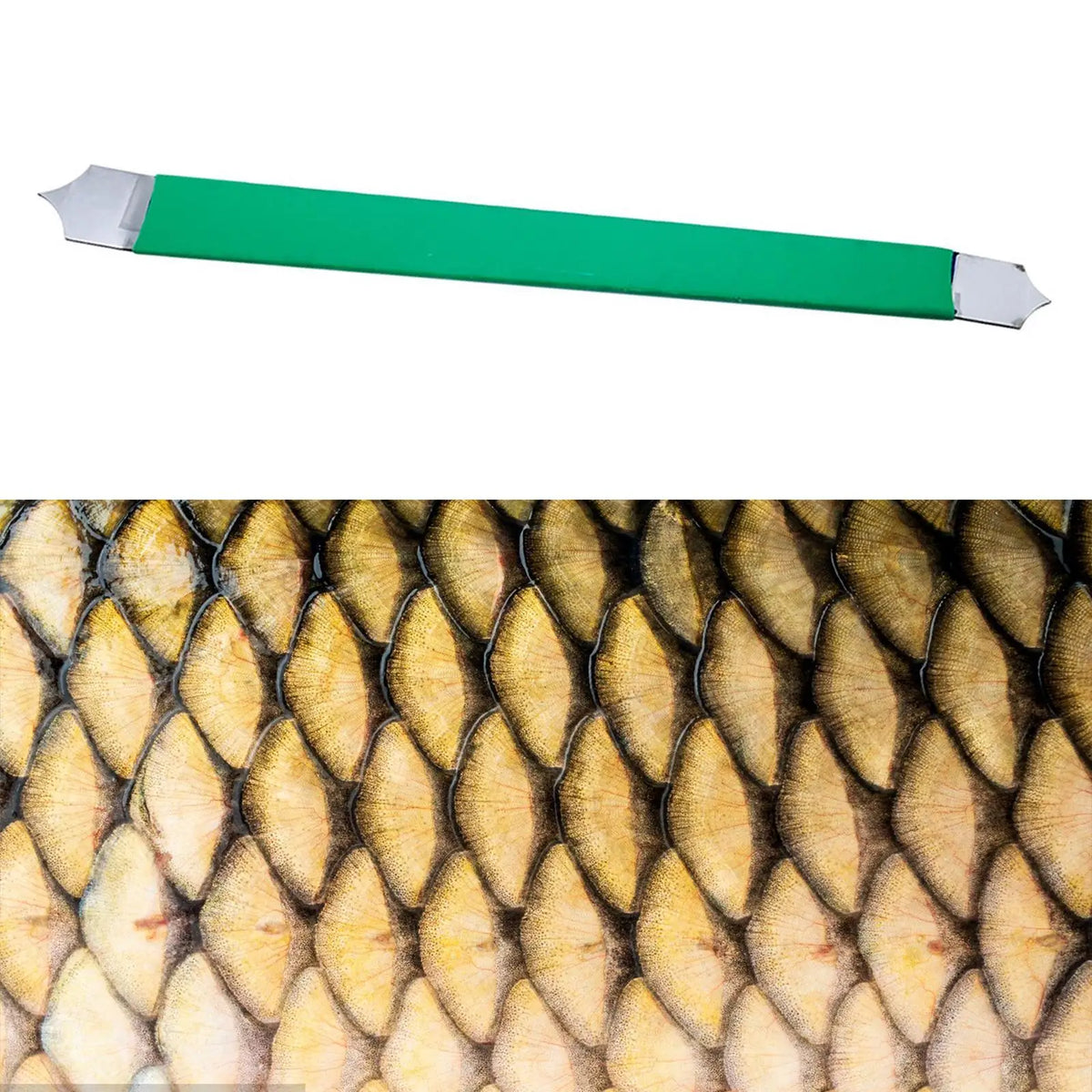 outil sculpture argile crayon potier poisson dragon vert outil texture céramique portable moderneoutil modelage