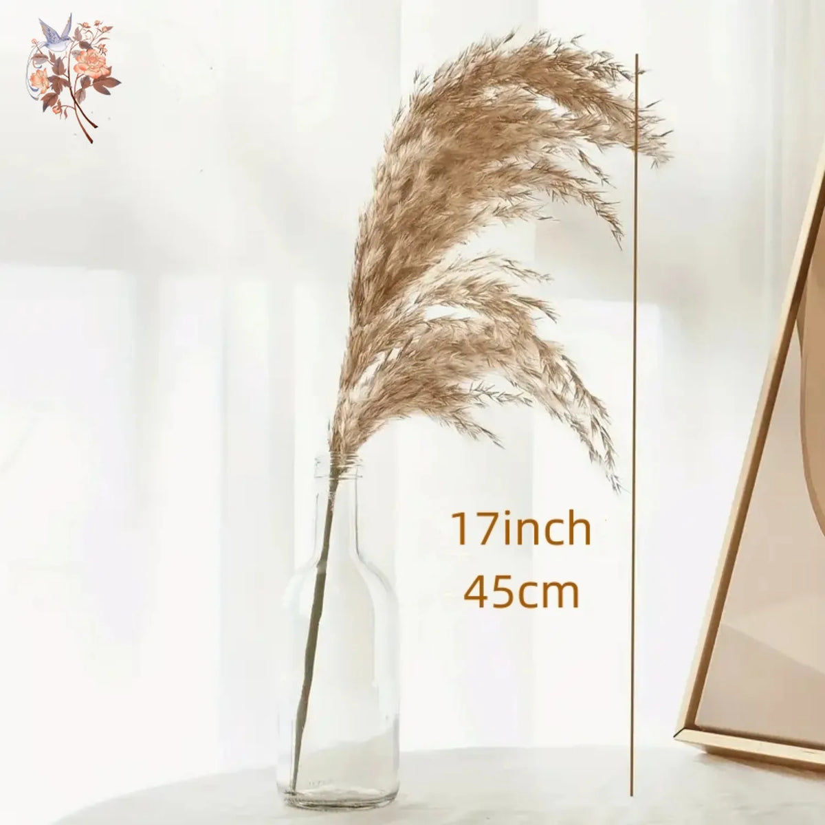 décoration maison plante séchée pampa moelleuse naturelle vase dried flowers beige rustiqueintérieur