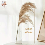 décoration maison plante séchée pampa moelleuse naturelle vase dried flowers beige rustiqueintérieur