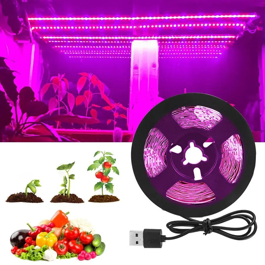ruban led flexible rose blanc croissance plante usb alimentation 12v 5v 1m 2m 3m