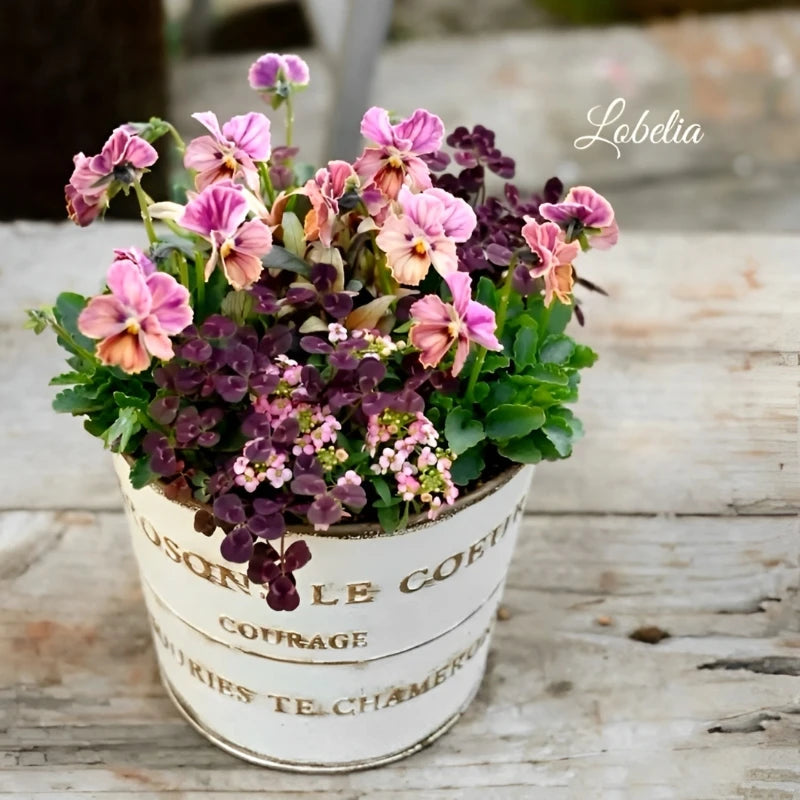 pots fleurs métal vintage rustique blanc crème bronze cyclamen tulipes succulentes bonsaï drainageextérieur balcon