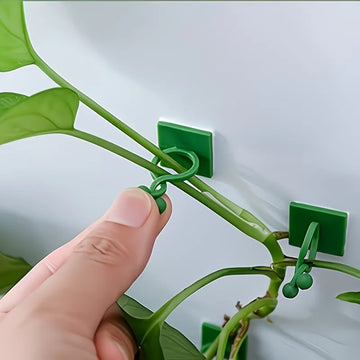 clips adhésifs plantes grimpantes vert moderne minimalistes intérieur extérieur 20pcs fixations discretes