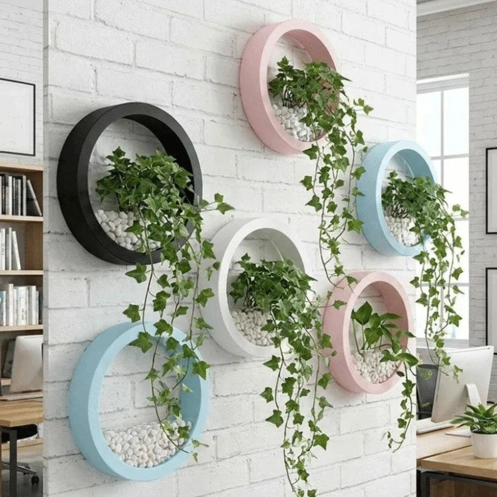 cache plantes circulaire moderne noir blanc bleu rose minimaliste fixation murale gravier blancintérieur