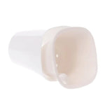pots fleurs autoarrosants blanc rose moderne minimaliste trou