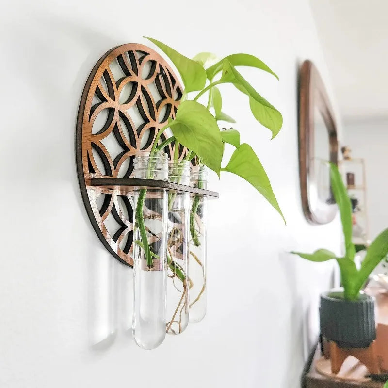 décoration murale bois plantes tubes essai propagation plante bohème chambre salon