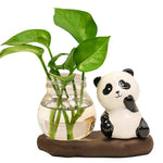 cache pot verre transparent base céramique panda lapin feuilles moderne intérieur blanc noir vert