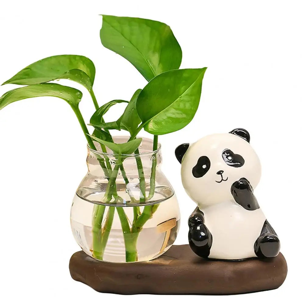 cache pot verre transparent base céramique panda lapin feuilles moderne intérieur blanc noir vert