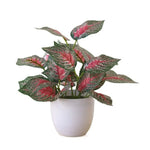 plantes artificielles vertes bonsaï ornement accessoires photo scindapsus pot rotin extérieur moderne